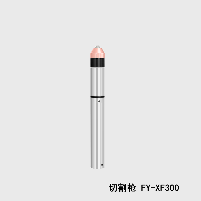 FY-XF300